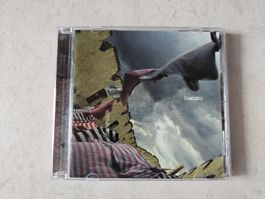 Paolo Angeli  -  Bucato 