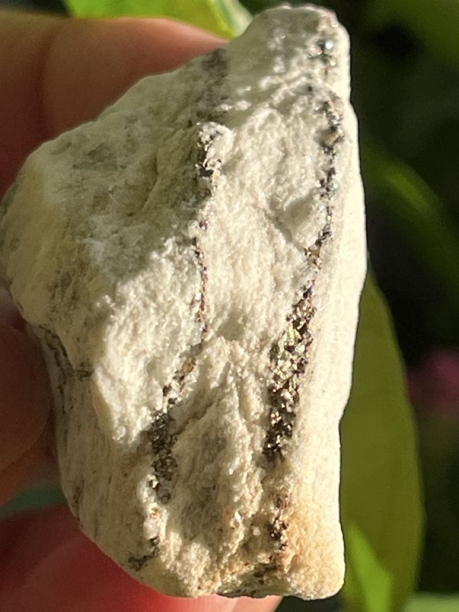 Minerali & Pietre curative: Top! Pyrit in Dolomite aus dem Binntal, VS – Usato da Uster venduto da Arrayo 9