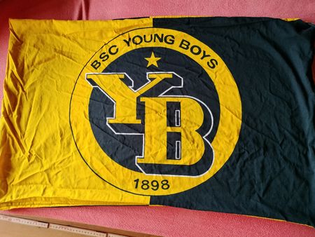 YB Berner Young Boys Kissenbezug