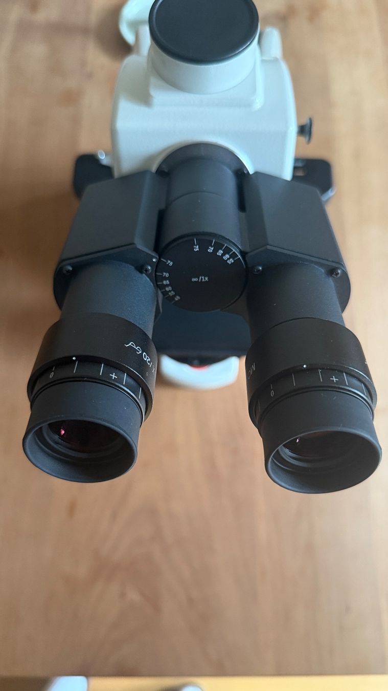 Microscopi: Mikroskop Motic BA-310E Elite Trinocular Microscope – Nuovo (secondo la descrizione) da Basel venduto da 7oclock 2