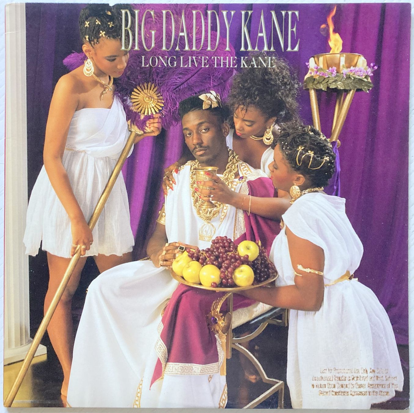 Dischi in vinile: BIG DADDY KANE - LONG LIVE THE KANE – Usato da Bottens venduto da hotter-than-hell
