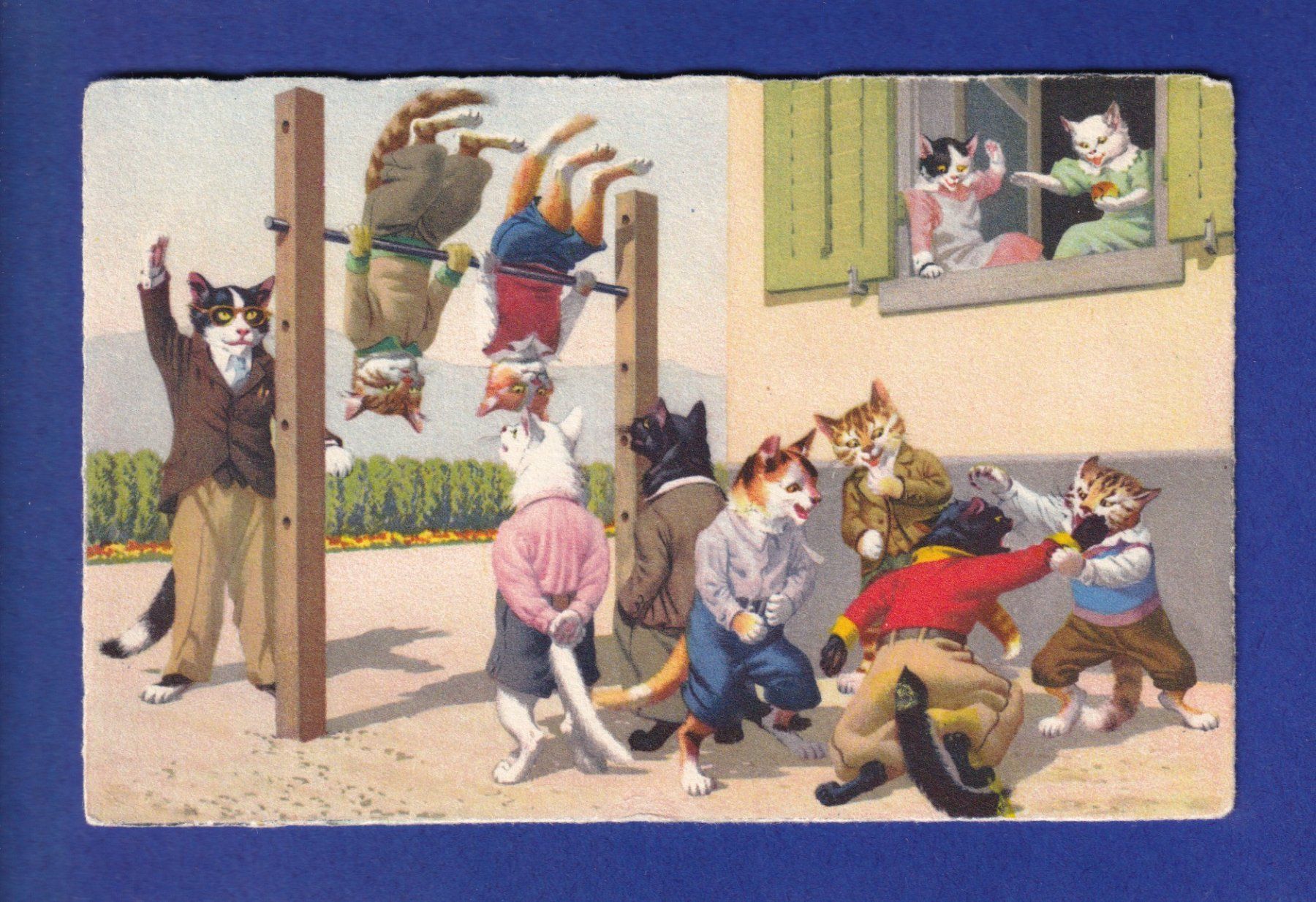Cartes postales: CHAT - Chats humanisés – D'occasion à Pully par nicecards-shop