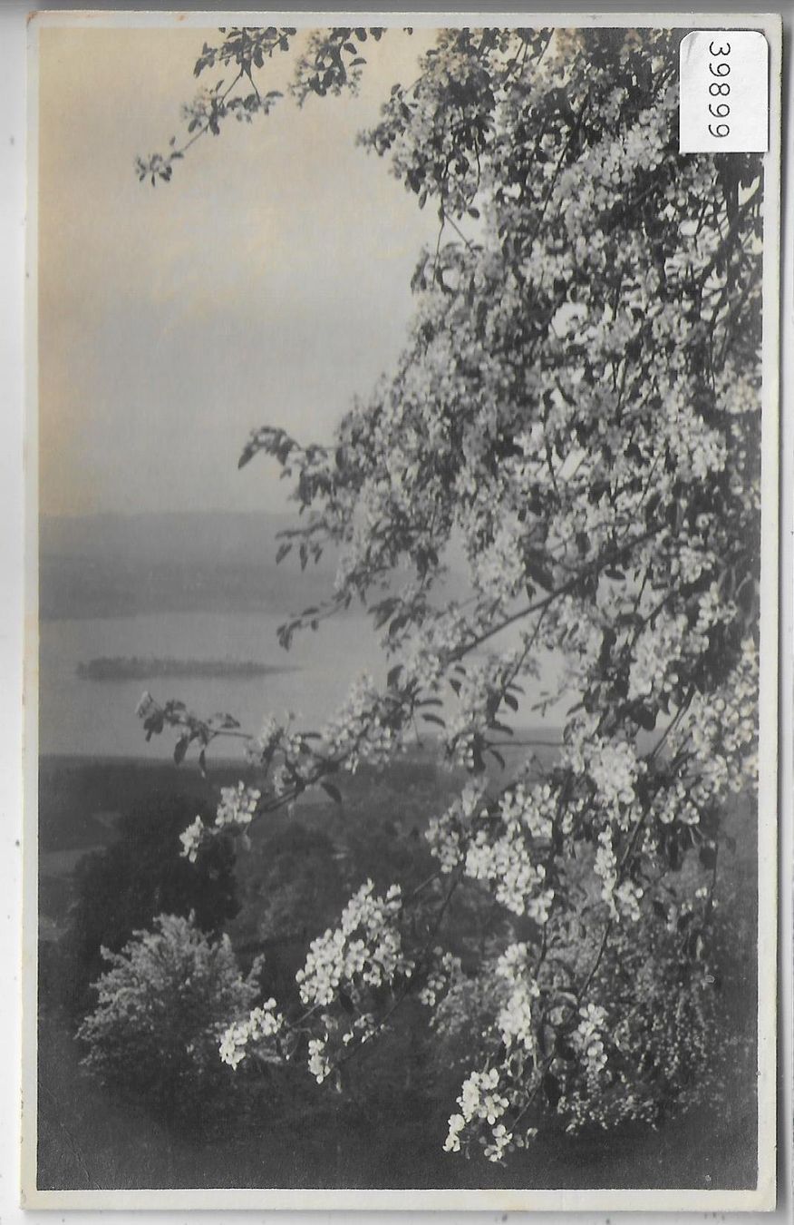Ansichtskarten: Frühling am Zürichsee – Gebraucht aus Ettingen von Kartenplanet
