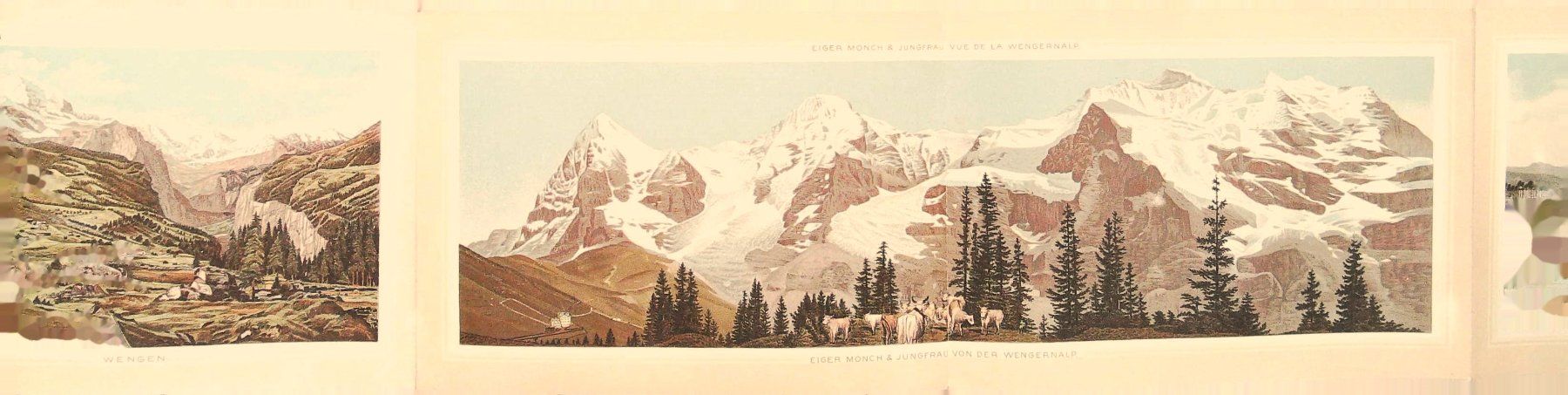 Libri: Berner Oberland Leporello um 1890 – Usato da Rafz venduto da booksell 4
