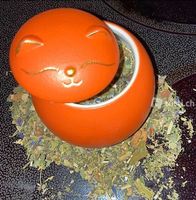 Niedliche Teekatzen