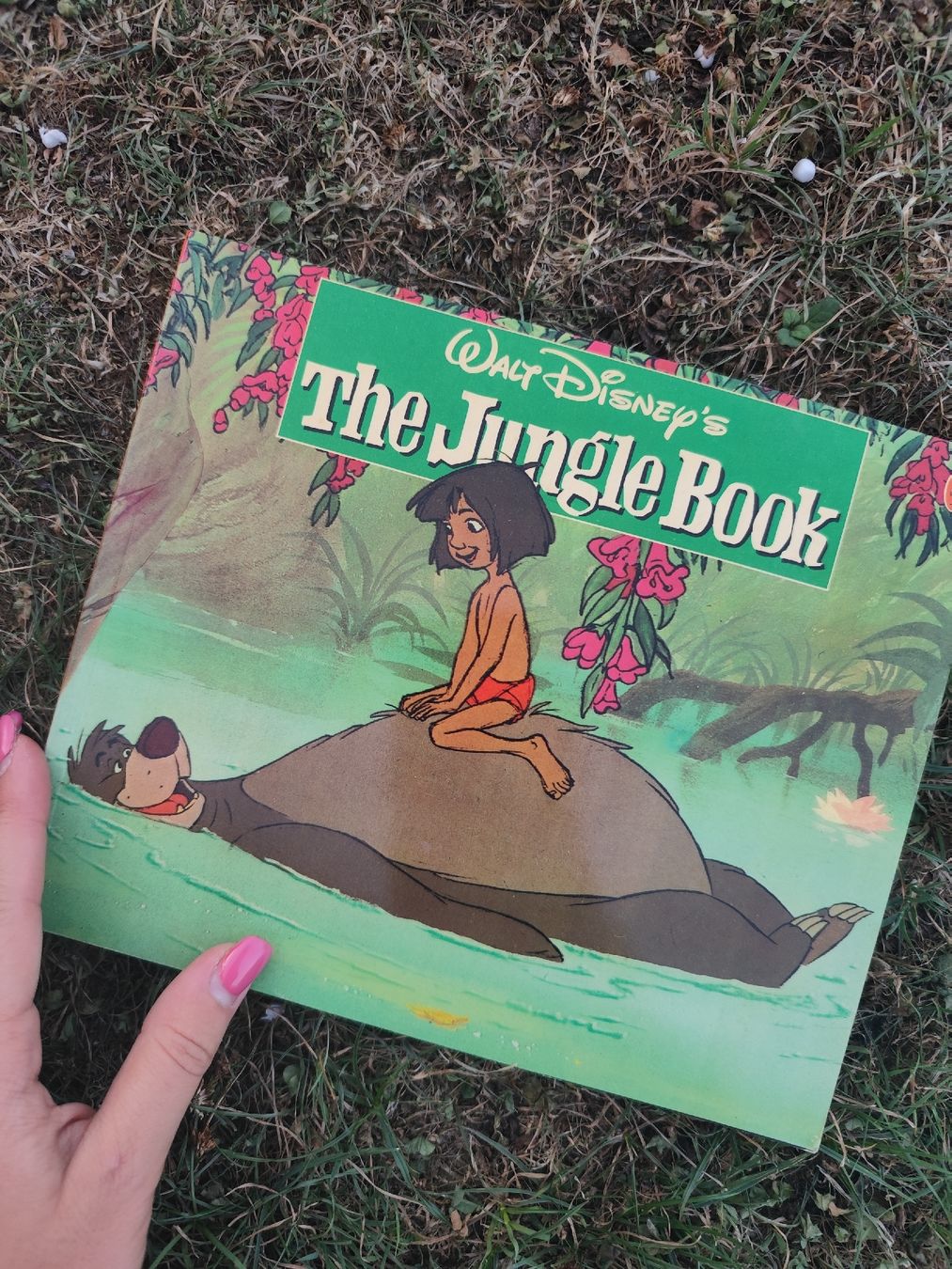 Bücher: Walt Disney The Jungle Book – Gebraucht aus Mägenwil von VintageGirly
