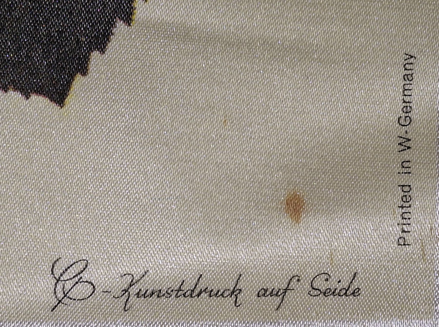 Foto & Immagini: Seidenbild – Usato da Weiningen ZH venduto da nic_5lqm 2