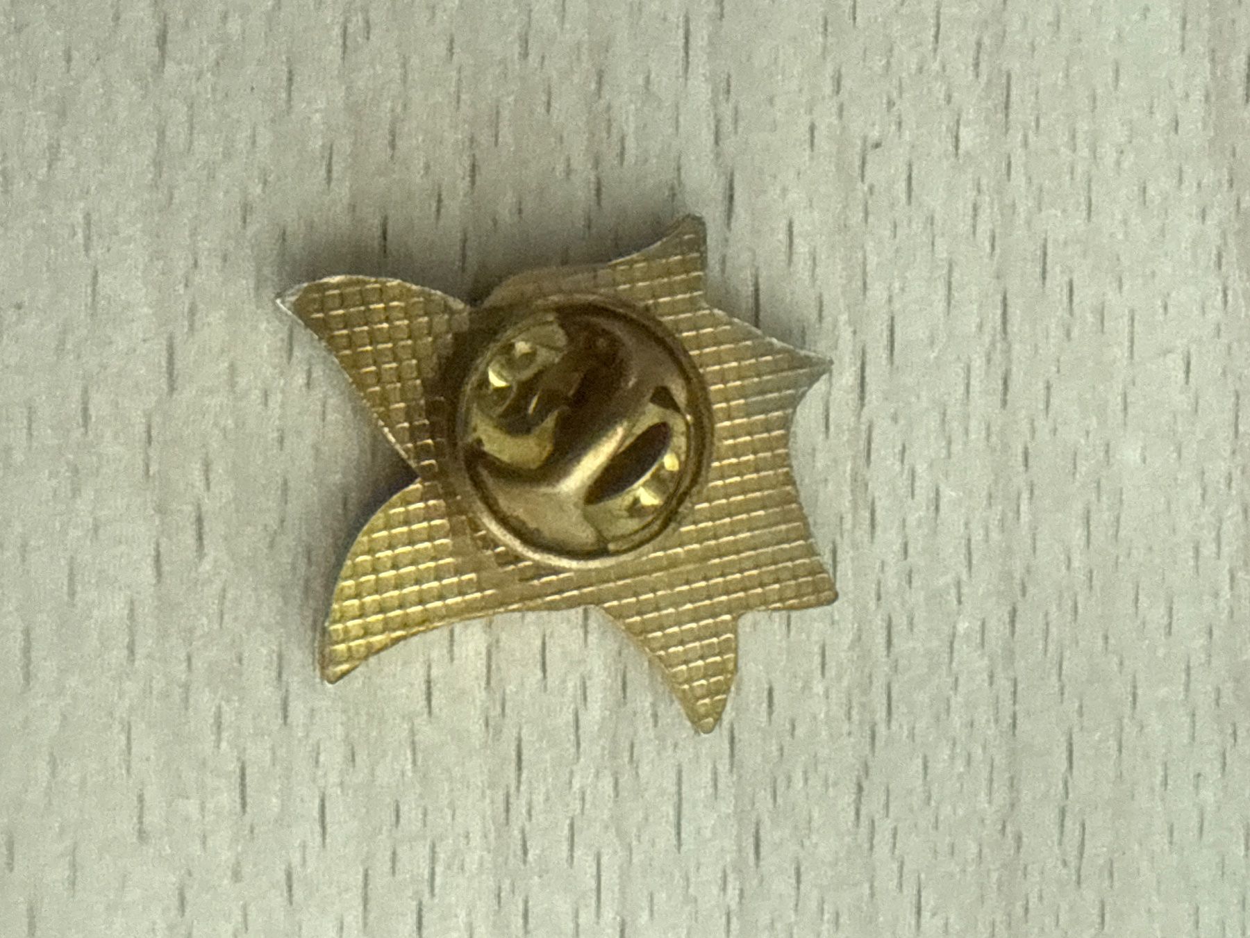 Placchette & Badge: Pin Blume – Usato da Glattbrugg venduto da Schweigmatt 1