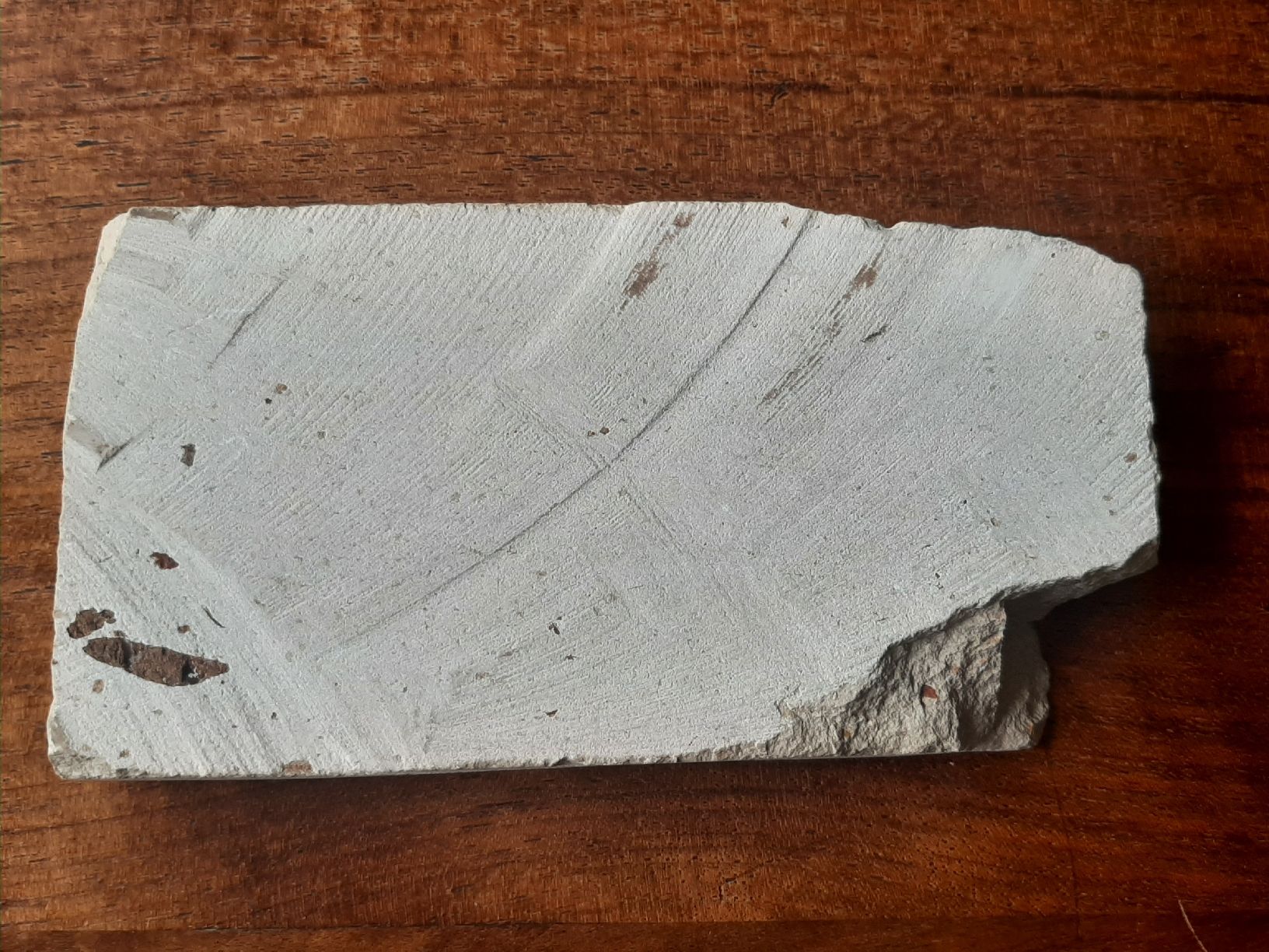 Fossilien: Fossiler Fisch Libanon – Gebraucht aus Rickenbach BL von Oktober68 5