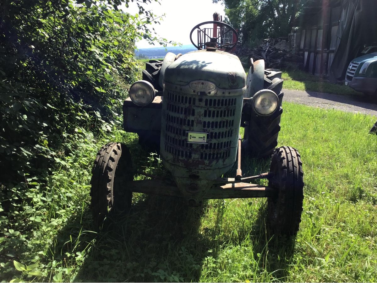 Bührer Trattori: Bührer Traktor DD 3 – Usato da Wetzikon ZH venduto da jules1957 2
