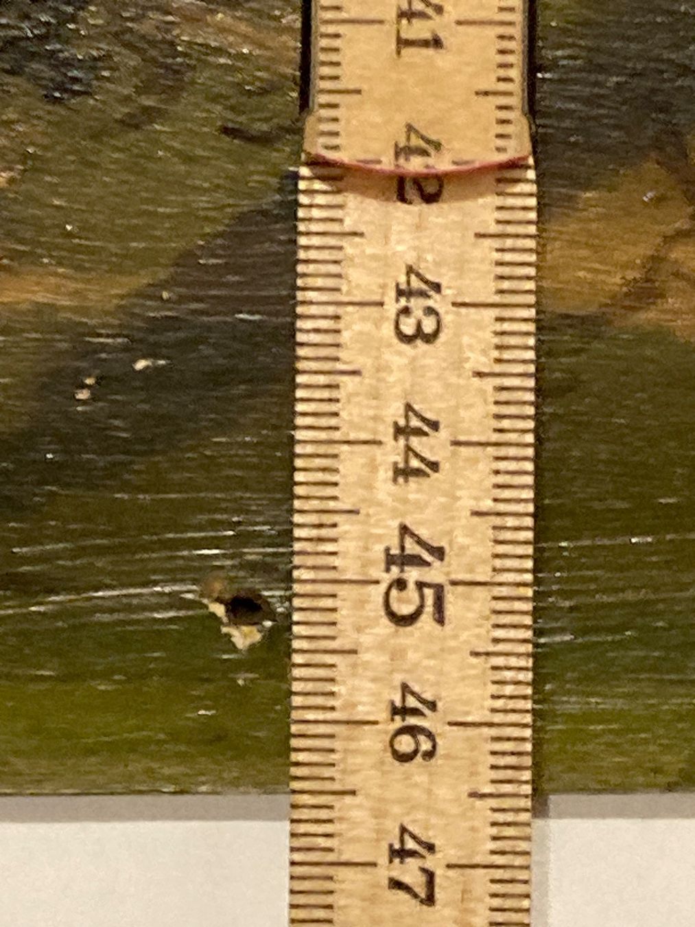 Dipinti: A. Z. 89 monogrammiert Landschaftsgemälde mit Wald und Berg – Usato da Hirzel venduto da pjn_d7xp 7