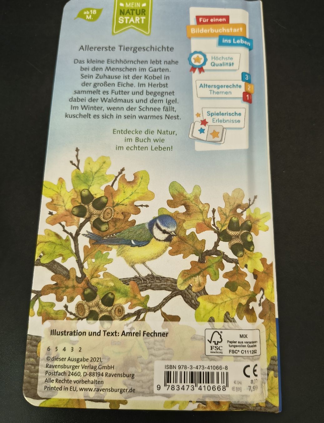 Libri: Kinderbuch - Ich bin das kleine Eichhörnchen – Usato da Faulensee venduto da bb_13 1