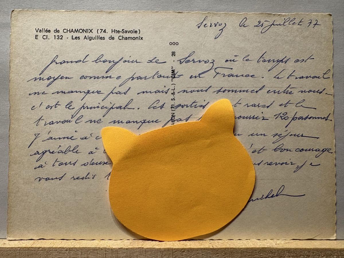 Cartoline postali: AK von Vallée de Chamonix / Frankreich – Usato da Rümlang venduto da Brieftaube1 1