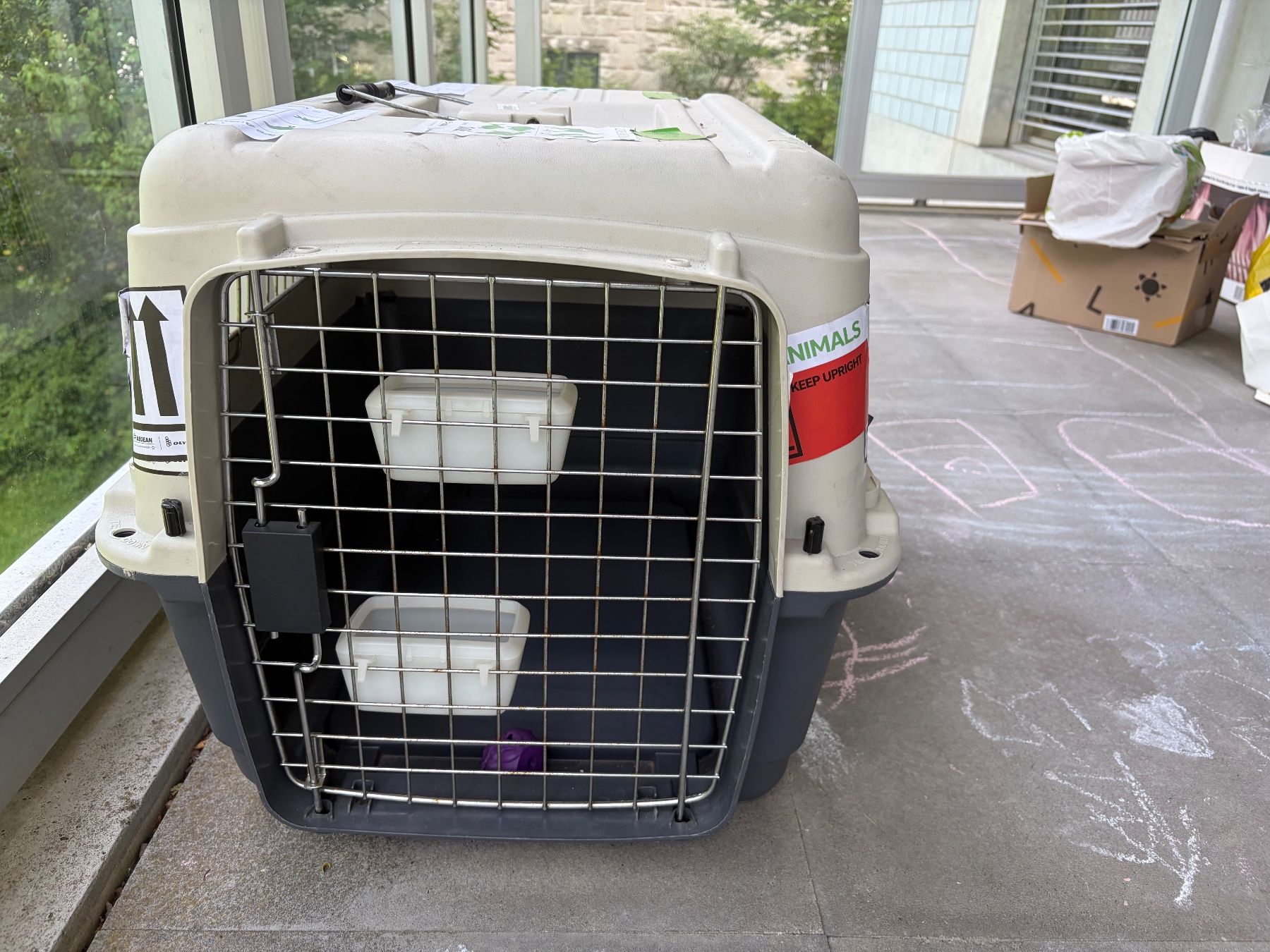 Käfige, Transport & Sicherheit: Hundetransportbox – Gebraucht aus St Gallen von ger_f2bk 1