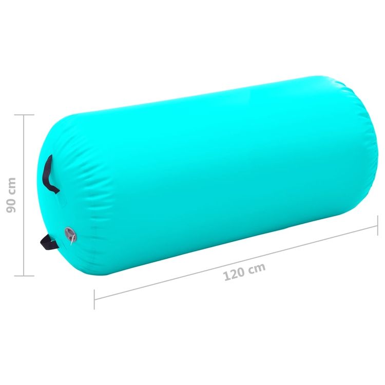 VidaXL Aufblasbare Gymnastikrolle – 100x60 Cm, Mit Pumpe, Aus PVC, Für Yoga, Fitness & Training