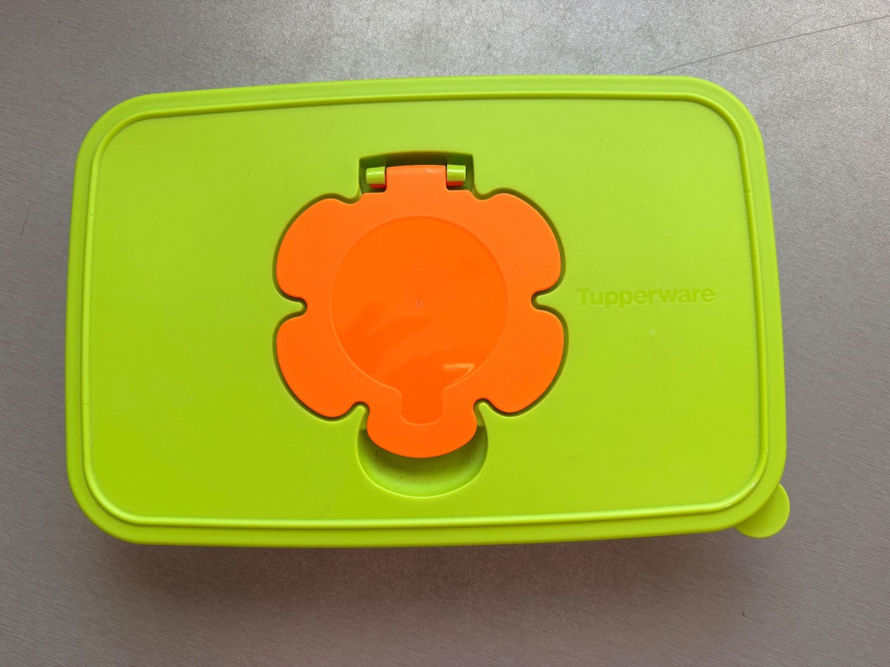 Tupperware Contenitori & Simili: Tupperware Feuchttücherbox, Dose, Box, Behälter, Grün! – Usato da Emmenbrücke venduto da Pajuma