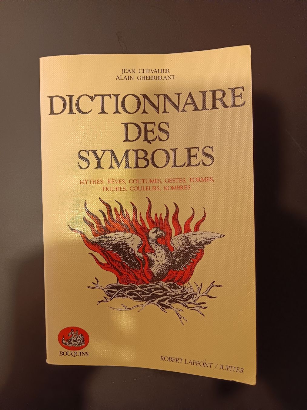 Libri: dictionnaire des symboles – Usato da Lausanne venduto da Grabock
