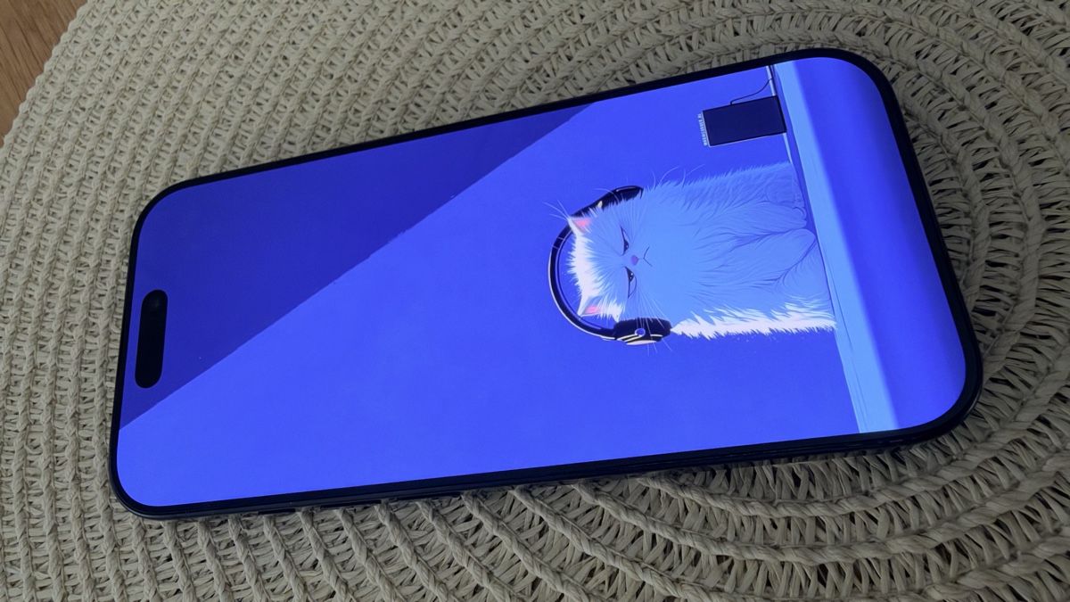 Apple Telefoni cellulari / Smartphones: iPhone 16 Pro 256 GB - Schwartz – Usato da Regensdorf venduto da elbryan 2