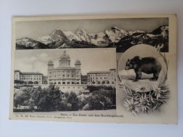 Ansichtskarte Litho Bern Bundesgebäude Alpen Bär  R34