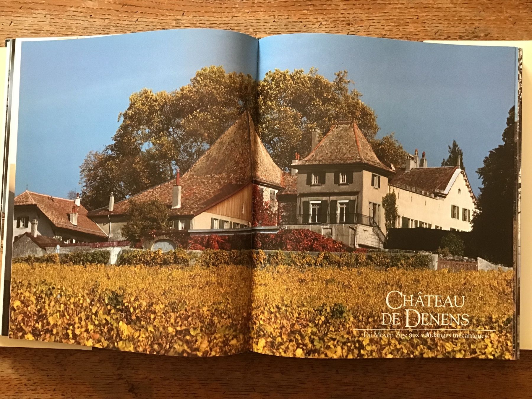 Libri: Les châteaux viticoles du Pays de Vaud – Usato da Fully venduto da Ruby97 6