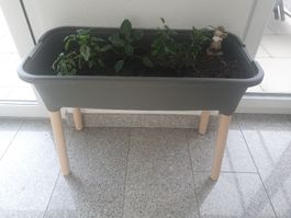 Toller Pflanztrog mit Beinen /Hochbeet 🌿