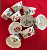 Set mit 9 Ramequins – Porcelaine de Paris Décor Herbier