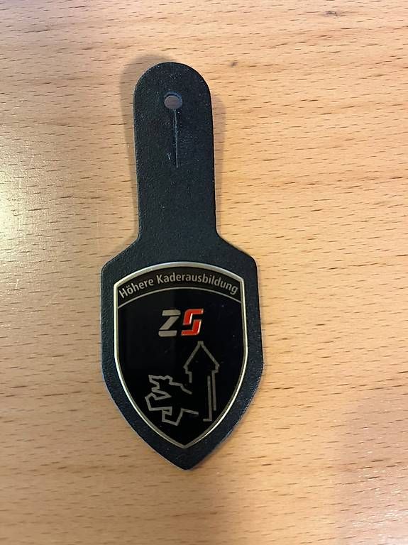 Placchette & Badge: Schulabzeichen Schweizer Armee – Usato da Oberwil (Dägerlen) venduto da Teddy89 2