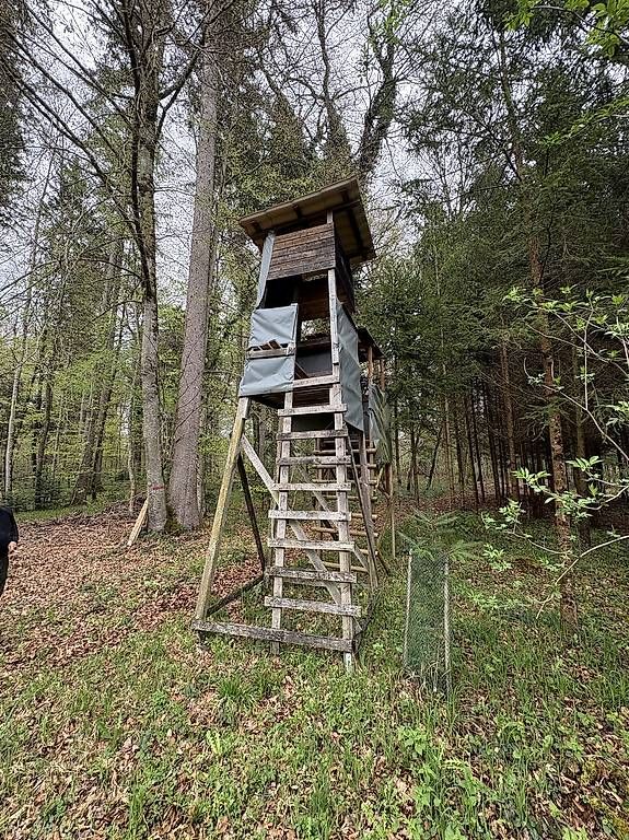 Holzartikel: Stabile Jagdkanzel Eiche – Gebraucht aus Rickenbach ZH von Pumba_500 1