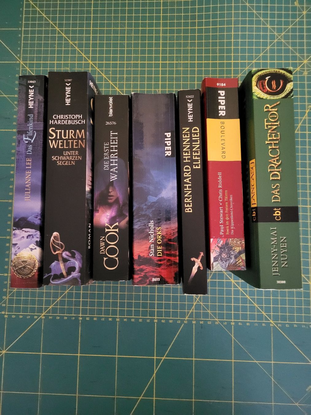Libri: 7 Fantasybücher – Usato da Möriken AG venduto da Vandine 1