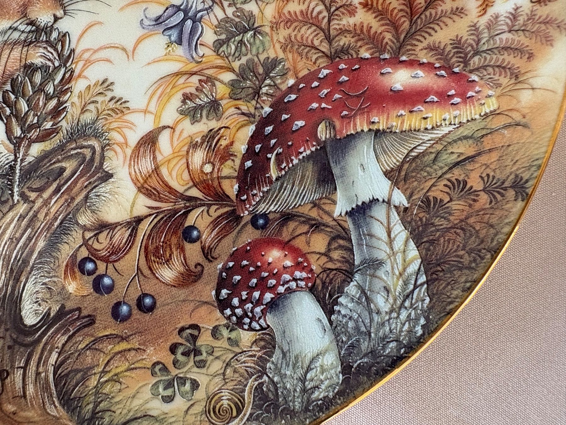 Piatti: Sammelteller mit Eichhörnchen Motiv, Herbstdeko, Top! – Usato da Lausanne venduto da opi_92cn 6