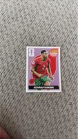 Carte Panini Achraf Hakimi extra sticker bon état