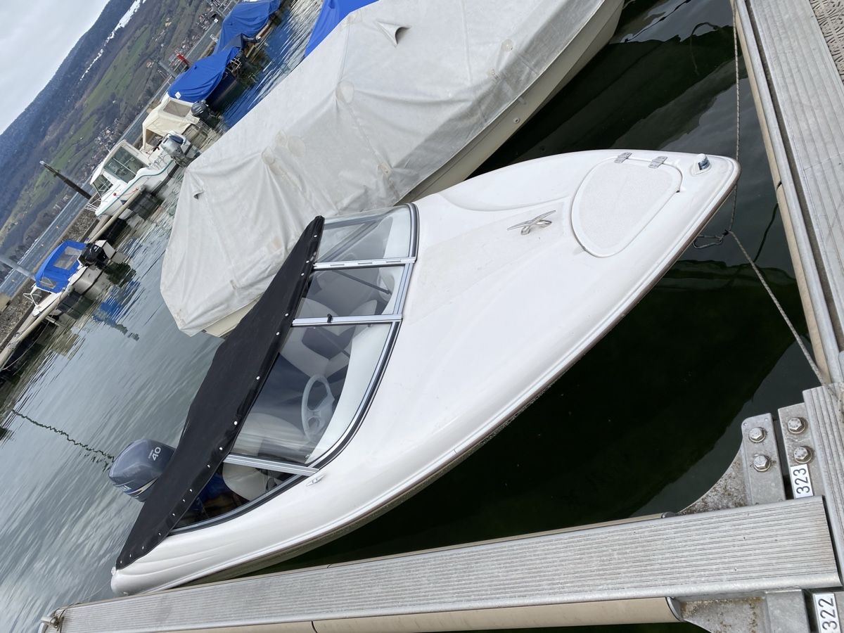 Quicksilver Barche: Quicksilver QS 470 Sport  – Usato da Erlach venduto da metzger1980 1