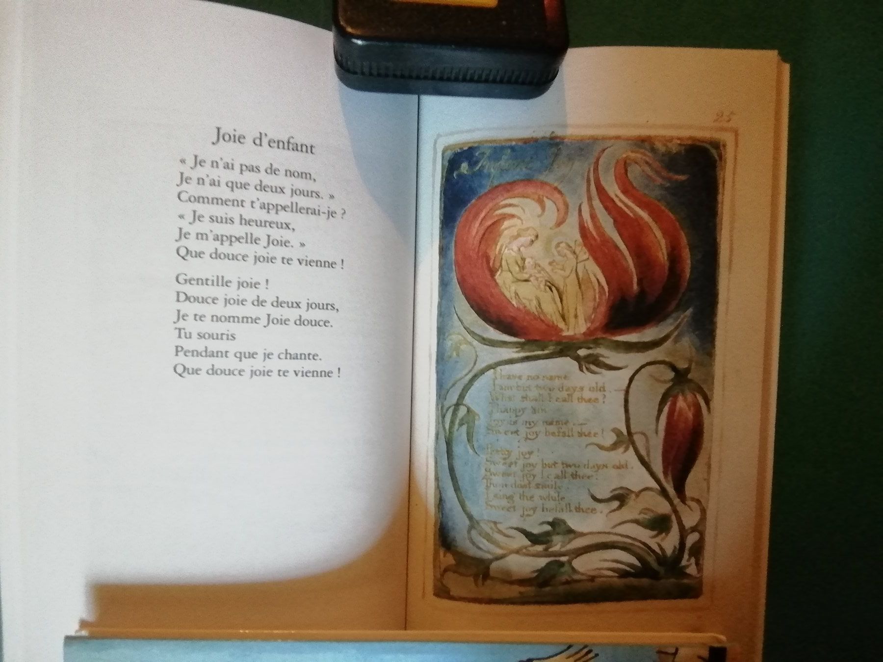 Bücher: William Blake Chants d'innocence et d'expérience Points P... – Neu (gemäss Beschreibung) aus Commugny von Juliemimi 2