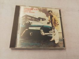 LYNWOOD SLIM FEAT. JUNIOR WATSON - LOST IN AMERICA