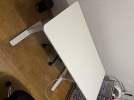 Pult elektrisch höhenverstellbar
