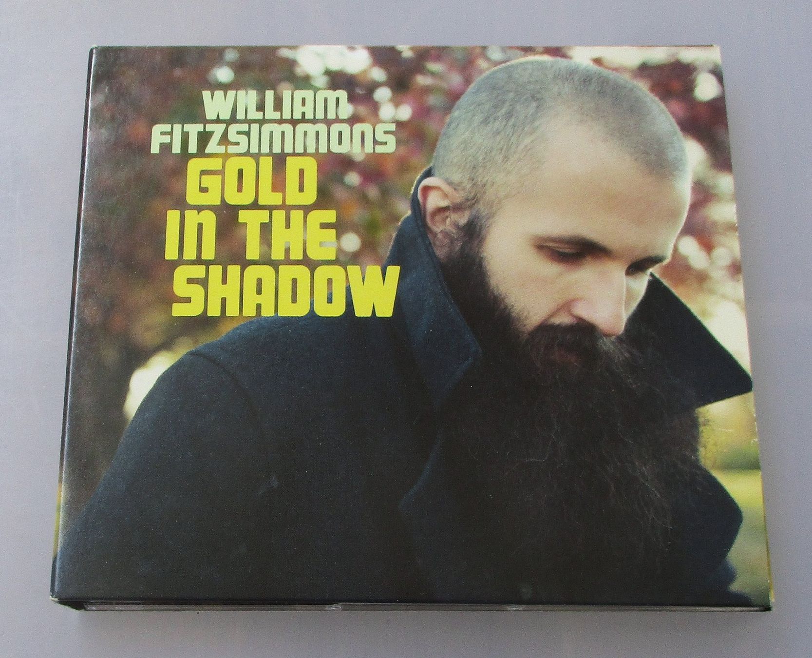 CD: WILLIAM FITZSIMMONS - Gold In The Shadow - Ltd. 2-CD – Usato da Wattwil venduto da Muriel11