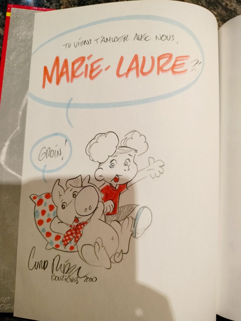 Comics: Copains Comme Cochons - Tome 1 Curd RIDEL – Gebraucht aus Cortaillod von rozinna 3