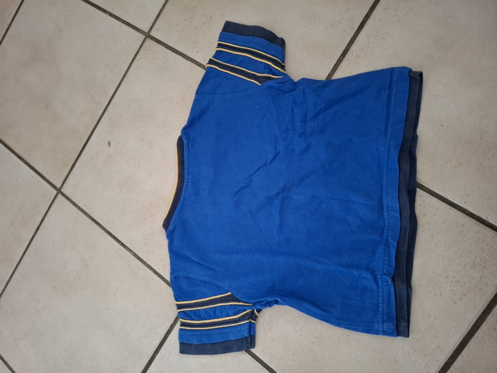 Hemden, T-Shirts & Polos: T-shirt Taz Red Devils bleu garçon – Gebraucht aus Les bois von Steph-tigrou 1
