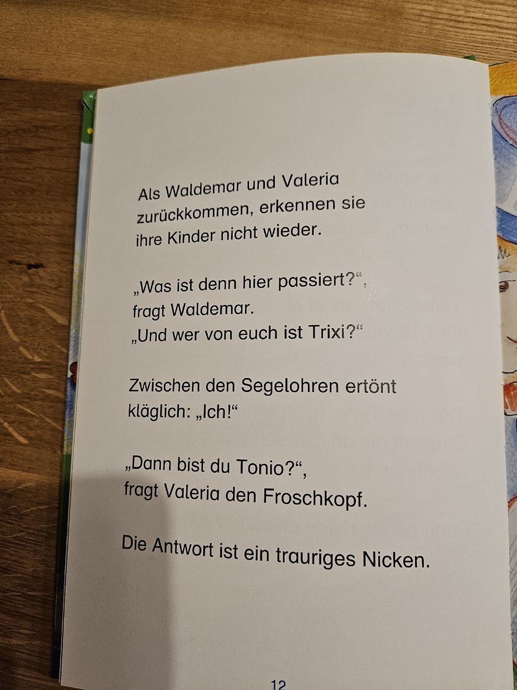 Libri: Zauberer geschichten NEUWERTIG – Usato da Mühlethal venduto da marga_10 3