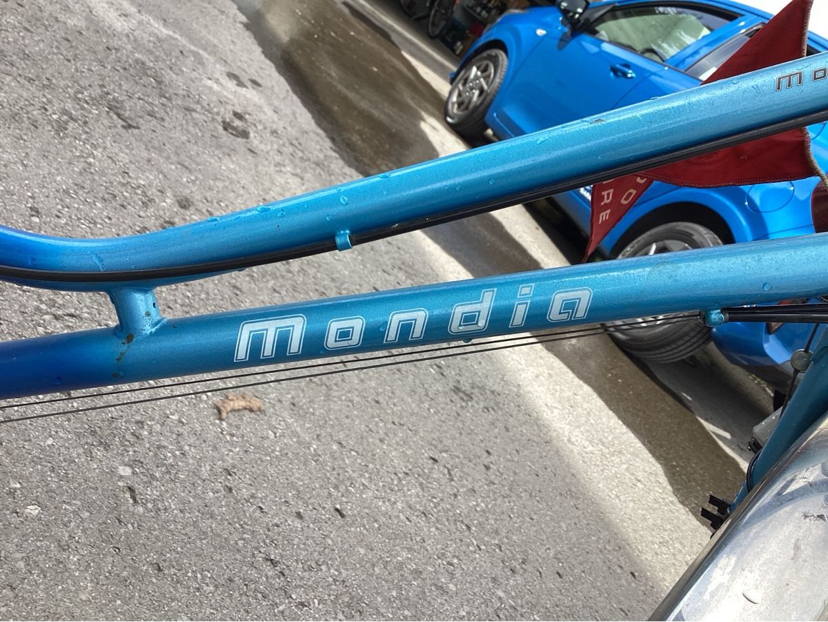 Mondia Biciclette: Damenfahrrad – Usato da Berneck venduto da cronos1 4