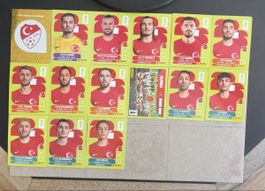 PANINI WM 2026 TÜRKEI - 15 Bilder!!!