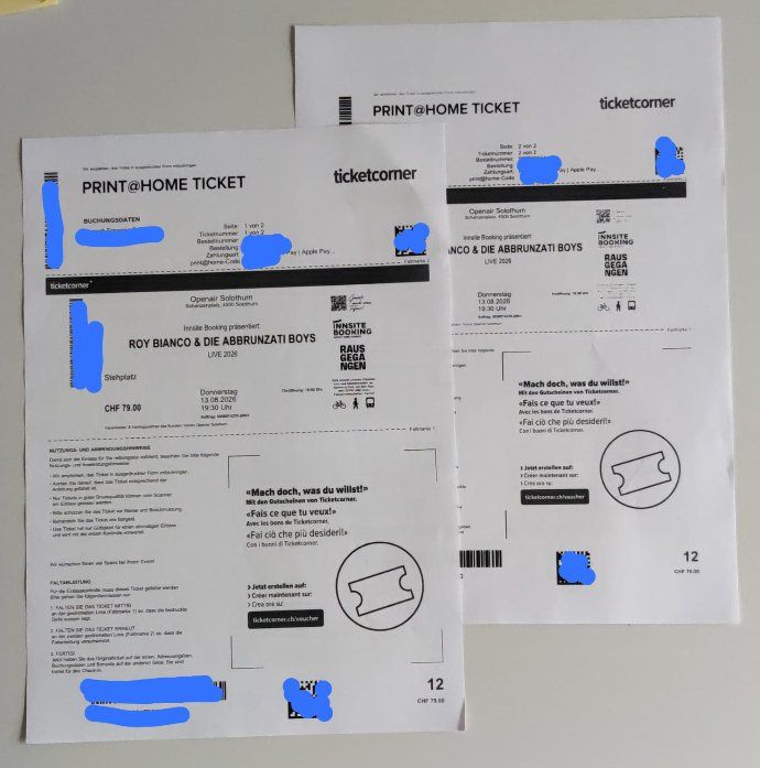 Biglietti: 2 RoyBianco Konzerttickets Solothurn – Usato da Winterthur venduto da han_kk6v