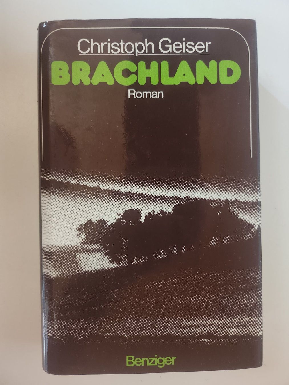 Libri: Christoph Geiser: Brachland – Usato da Dietikon venduto da Buchantiqdietikon