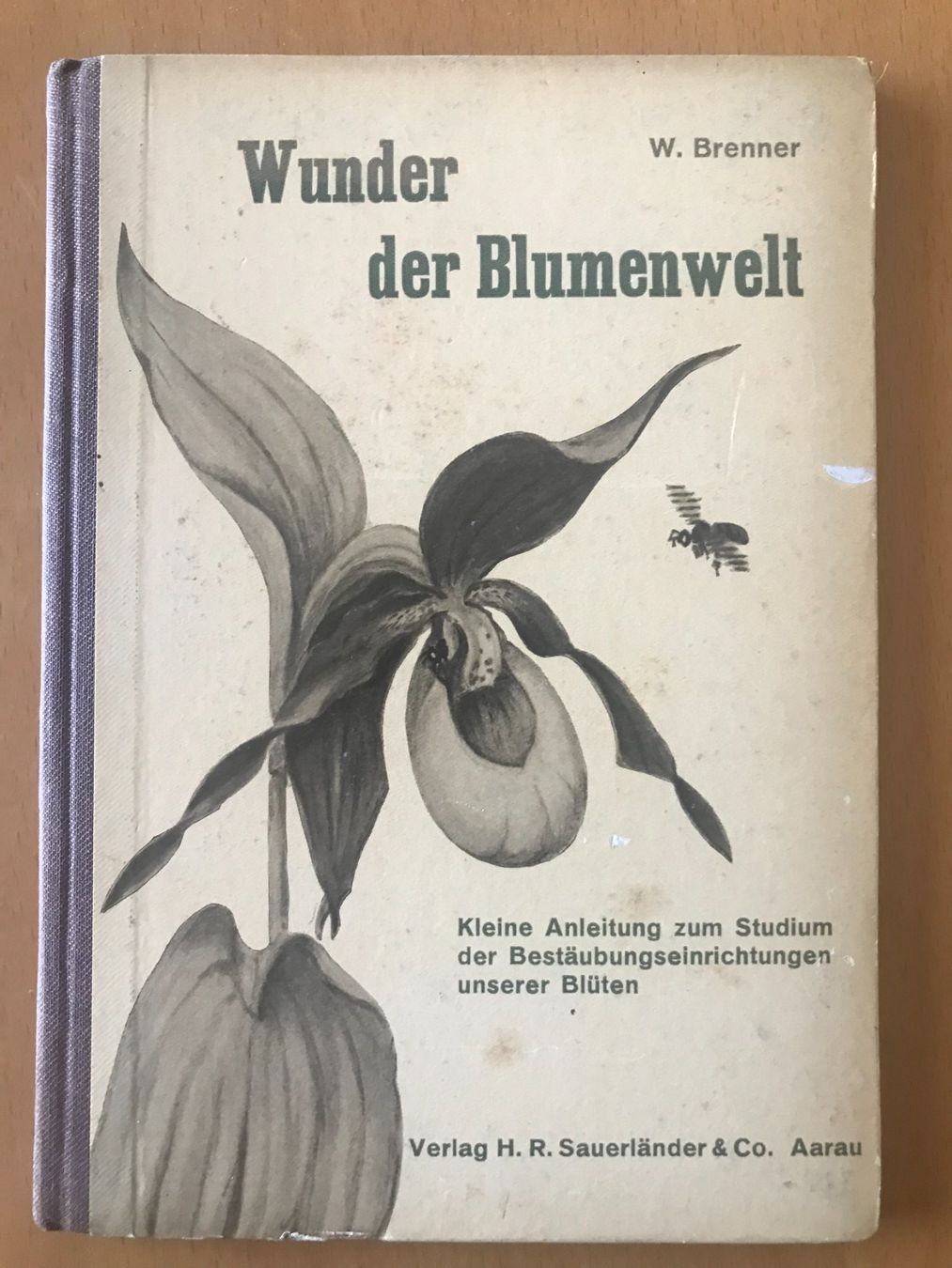 Libri: antikes Buch: Wunder der Blumenwelt – Usato da Luzern venduto da mey_s13