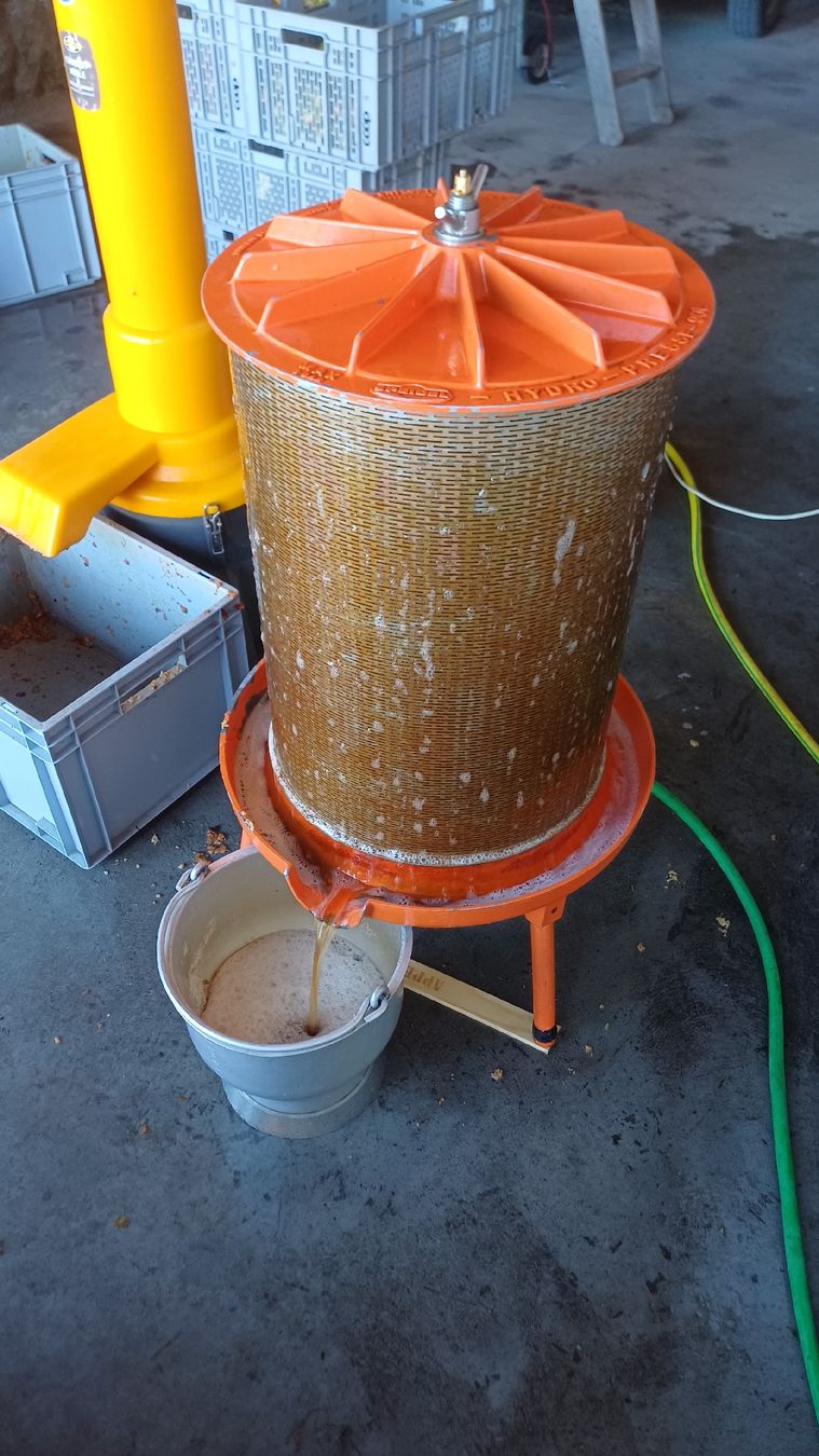 Tutte le macchine: Speidel Hydropresse 90 – Usato da Walzenhausen venduto da Federleicht1 4