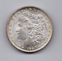(339) USA, 1 Dollar, 1887, top stgl