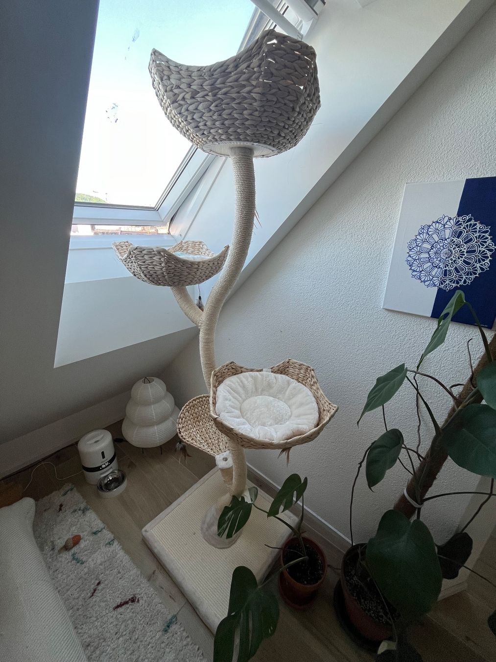 Tiragraffi: Kratzbaum Cat´s Flower XXL – Usato da Zürich venduto da latte_artist 1