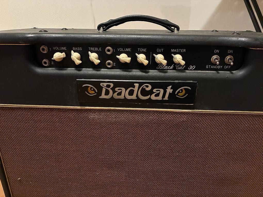 Amplificatori: Bad Cat black cat 30 (Sampson Era) – Usato da Zürich venduto da Lilifee0