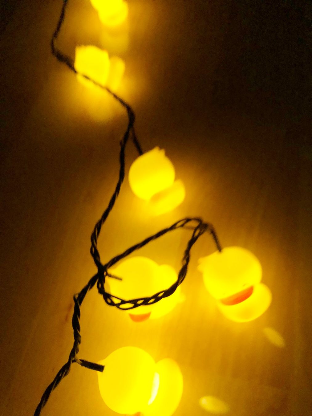 Ghirlande e barre luminose: Lichterkette mit Enten – Nuovo (secondo la descrizione) da Glattbrugg venduto da Ariel012 2