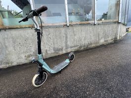 Gefedertes Kickboard
